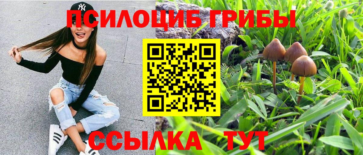 Псилоцибиновые грибы мицелий Истра